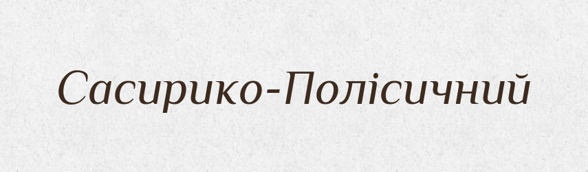 Сасирико-Полісичний — Великий тлумачний словник сучасної української мови