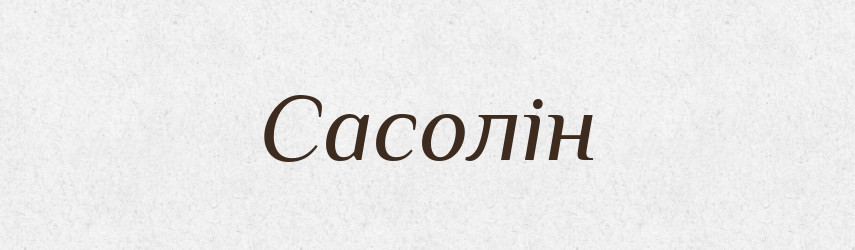 Сасолін — Великий тлумачний словник сучасної української мови