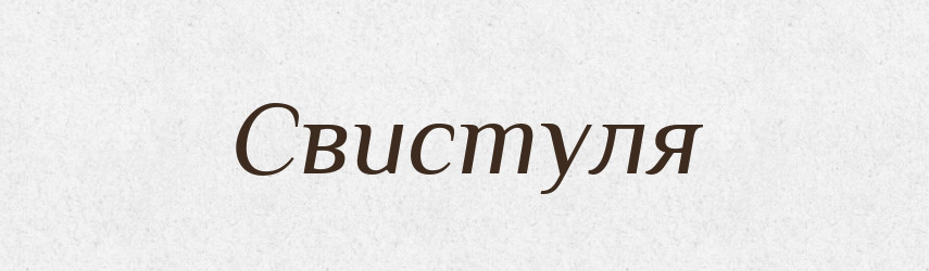 Свистуля — Великий тлумачний словник сучасної української мови