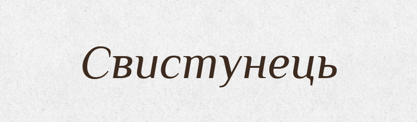 Свистунець — Великий тлумачний словник сучасної української мови