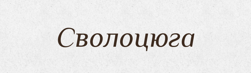 Сволоцюга — Великий тлумачний словник сучасної української мови