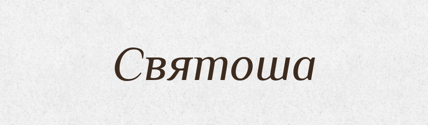 Святоша — Великий тлумачний словник сучасної української мови
