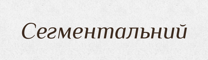 Сегментальний — Великий тлумачний словник сучасної української мови
