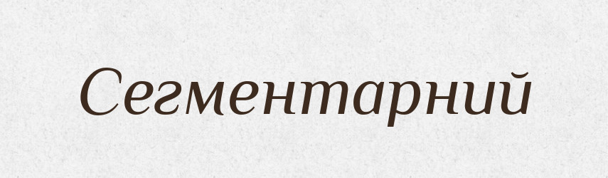 Сегментарний — Великий тлумачний словник сучасної української мови