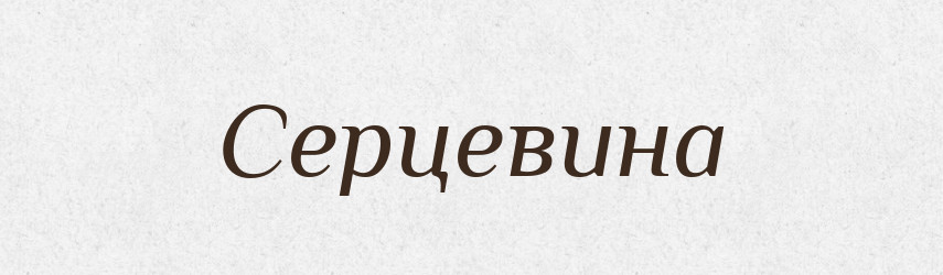 Серцевина — Великий тлумачний словник сучасної української мови