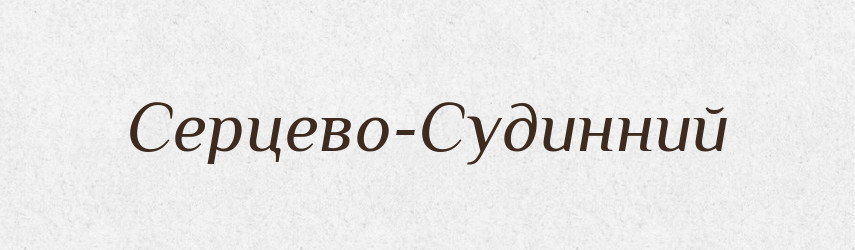 Серцево-Судинний — Великий тлумачний словник сучасної української мови