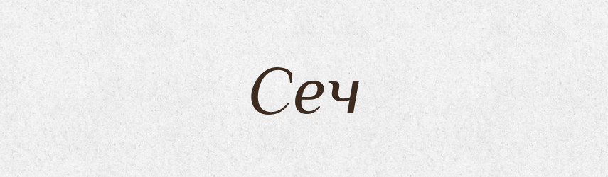 Сеч — Великий тлумачний словник сучасної української мови