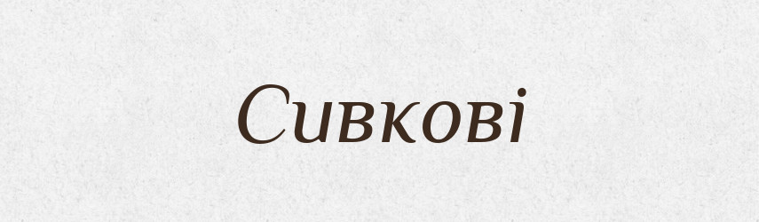 Сивкові — Великий тлумачний словник сучасної української мови