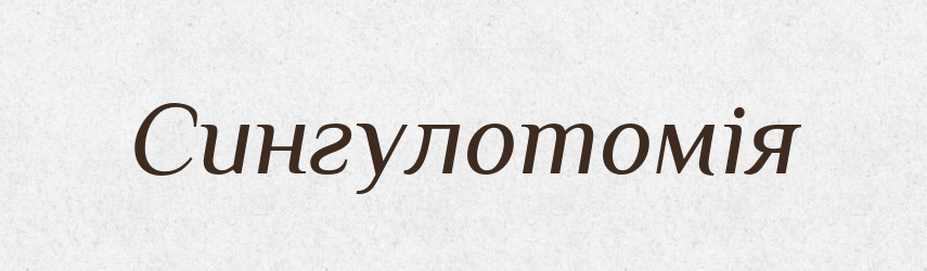 Сингулотомія — Великий тлумачний словник сучасної української мови
