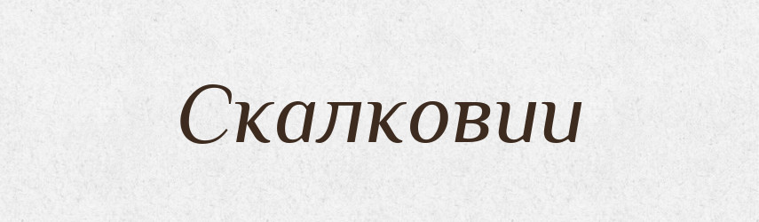 Скалковии — Великий тлумачний словник сучасної української мови
