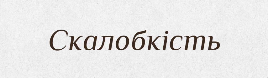 Скалобкість — Великий тлумачний словник сучасної української мови