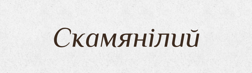 Скамянілий — Великий тлумачний словник сучасної української мови