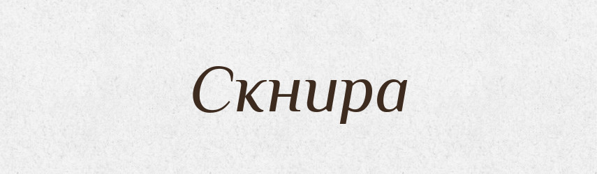 Скнира — Великий тлумачний словник сучасної української мови