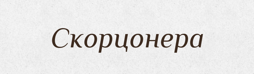Скорцонера — Великий тлумачний словник сучасної української мови