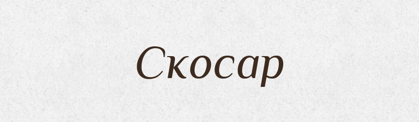 Скосар — Великий тлумачний словник сучасної української мови