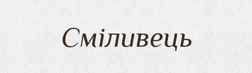 Сміливець — Великий тлумачний словник сучасної української мови
