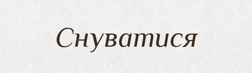 Снуватися — Великий тлумачний словник сучасної української мови