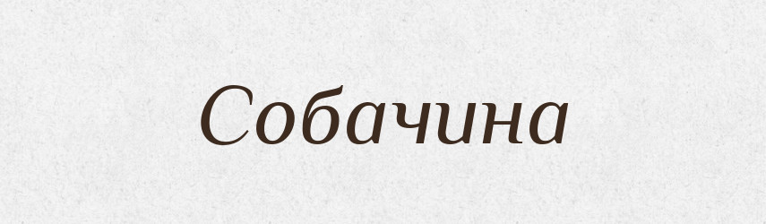 Собачина — Великий тлумачний словник сучасної української мови