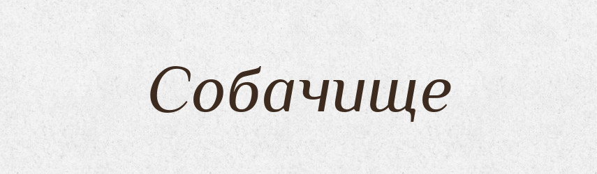 Собачище — Великий тлумачний словник сучасної української мови