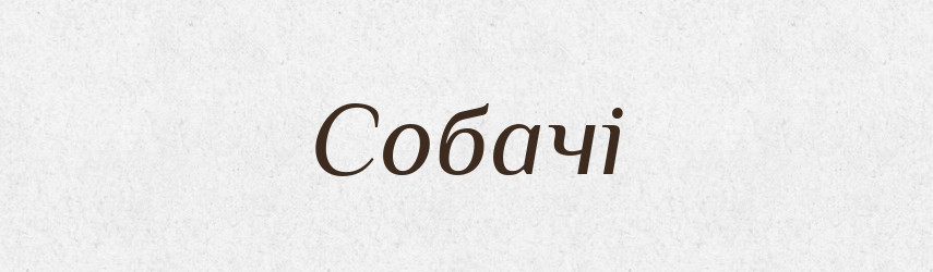 Собачі — Великий тлумачний словник сучасної української мови