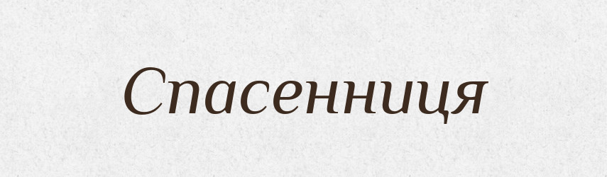 Спасенниця — Великий тлумачний словник сучасної української мови