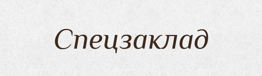 Спецзаклад — Великий тлумачний словник сучасної української мови