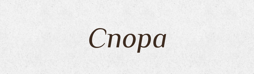 Спора — Великий тлумачний словник сучасної української мови