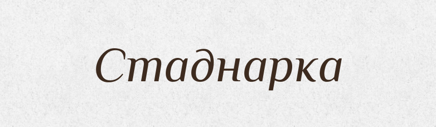 Стаднарка — Великий тлумачний словник сучасної української мови