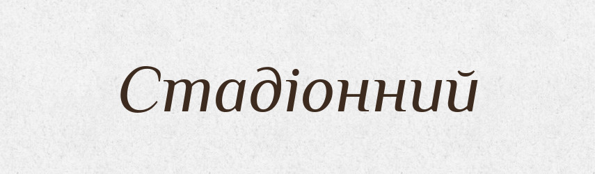 Стадіонний — Великий тлумачний словник сучасної української мови