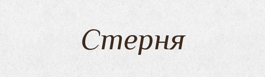 Стерня — Великий тлумачний словник сучасної української мови