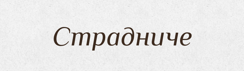 Страдниче — Великий тлумачний словник сучасної української мови