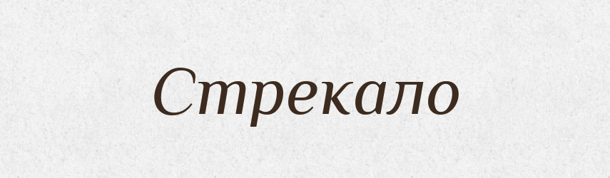 Стрекало — Великий тлумачний словник сучасної української мови