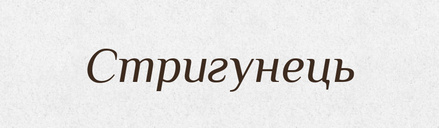 Стригунець — Великий тлумачний словник сучасної української мови