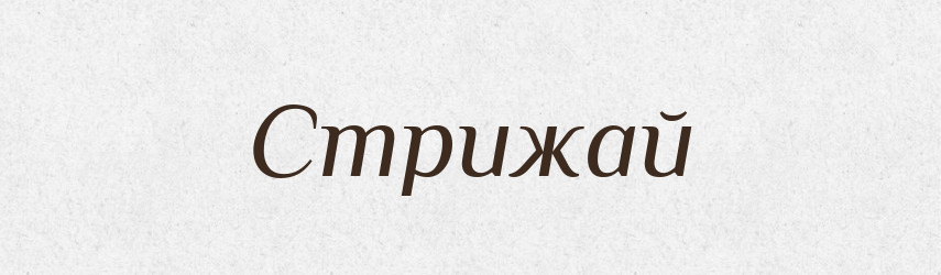 Стрижай — Великий тлумачний словник сучасної української мови