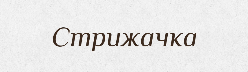 Стрижачка — Великий тлумачний словник сучасної української мови