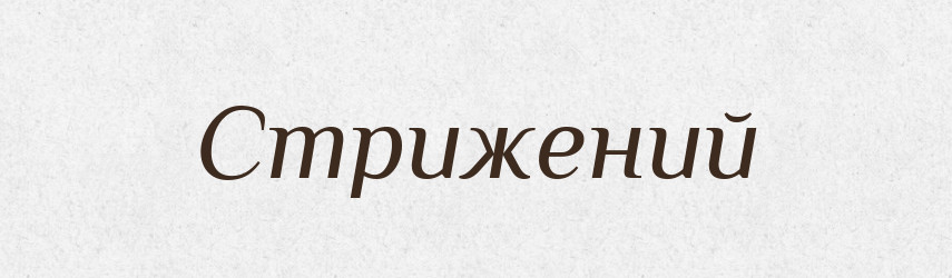 Стрижений — Великий тлумачний словник сучасної української мови