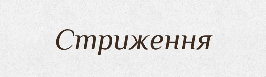 Стриження — Великий тлумачний словник сучасної української мови