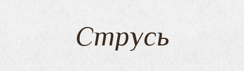 Струсь — Великий тлумачний словник сучасної української мови