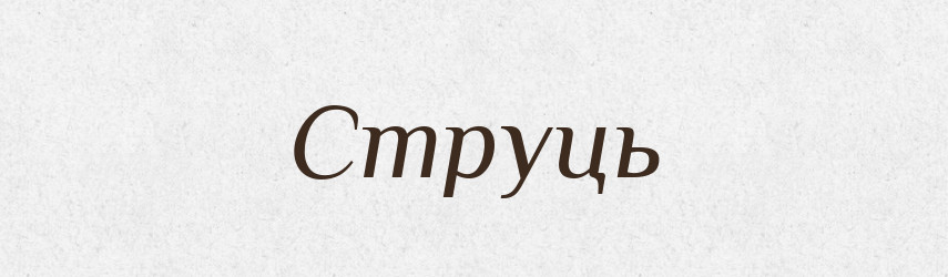 Струць — Великий тлумачний словник сучасної української мови
