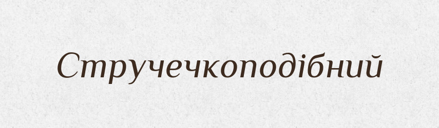 Стручечкоподібний — Великий тлумачний словник сучасної української мови