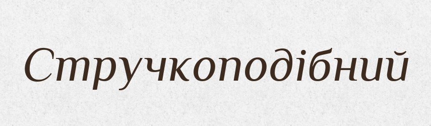 Стручкоподібний — Великий тлумачний словник сучасної української мови
