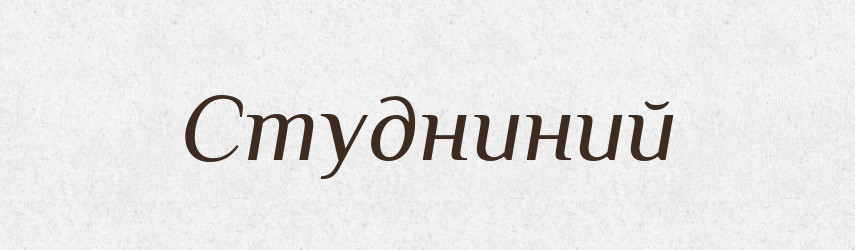 Студниний — Великий тлумачний словник сучасної української мови