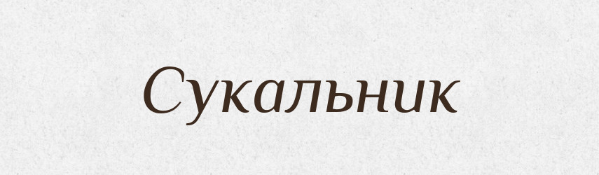 Сукальник — Великий тлумачний словник сучасної української мови