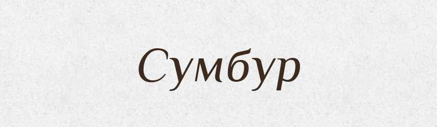 Сумбур — Великий тлумачний словник сучасної української мови