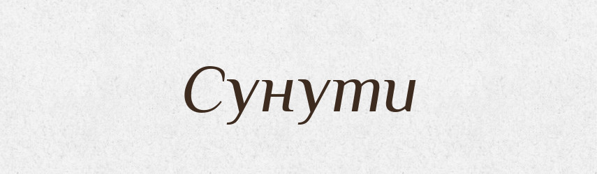 Сунути — Великий тлумачний словник сучасної української мови