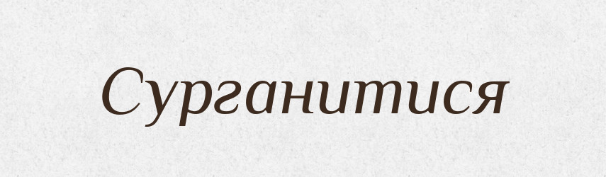 Сурганитися — Великий тлумачний словник сучасної української мови