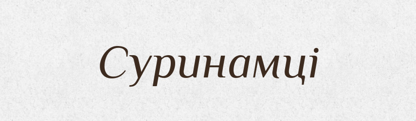 Суринамці — Великий тлумачний словник сучасної української мови