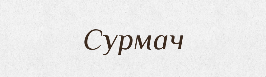 Сурмач — Великий тлумачний словник сучасної української мови
