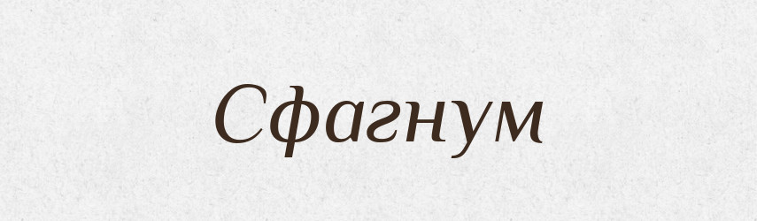 Сфагнум — Великий тлумачний словник сучасної української мови