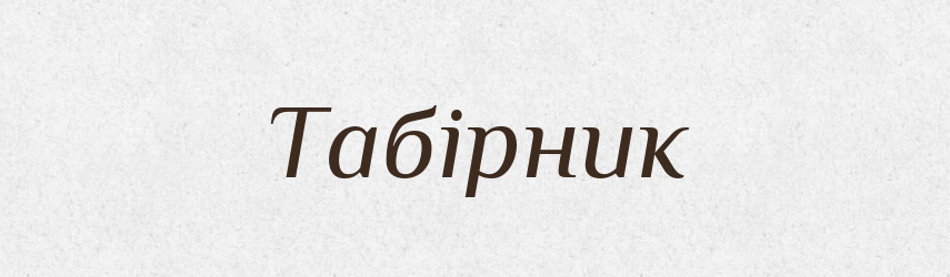 Табірник — Великий тлумачний словник сучасної української мови